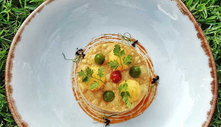 Hortopita with Feta & Katsochiri Fritters